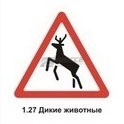 1.27 Дикие животные