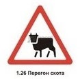 1.26 Перегон скота
